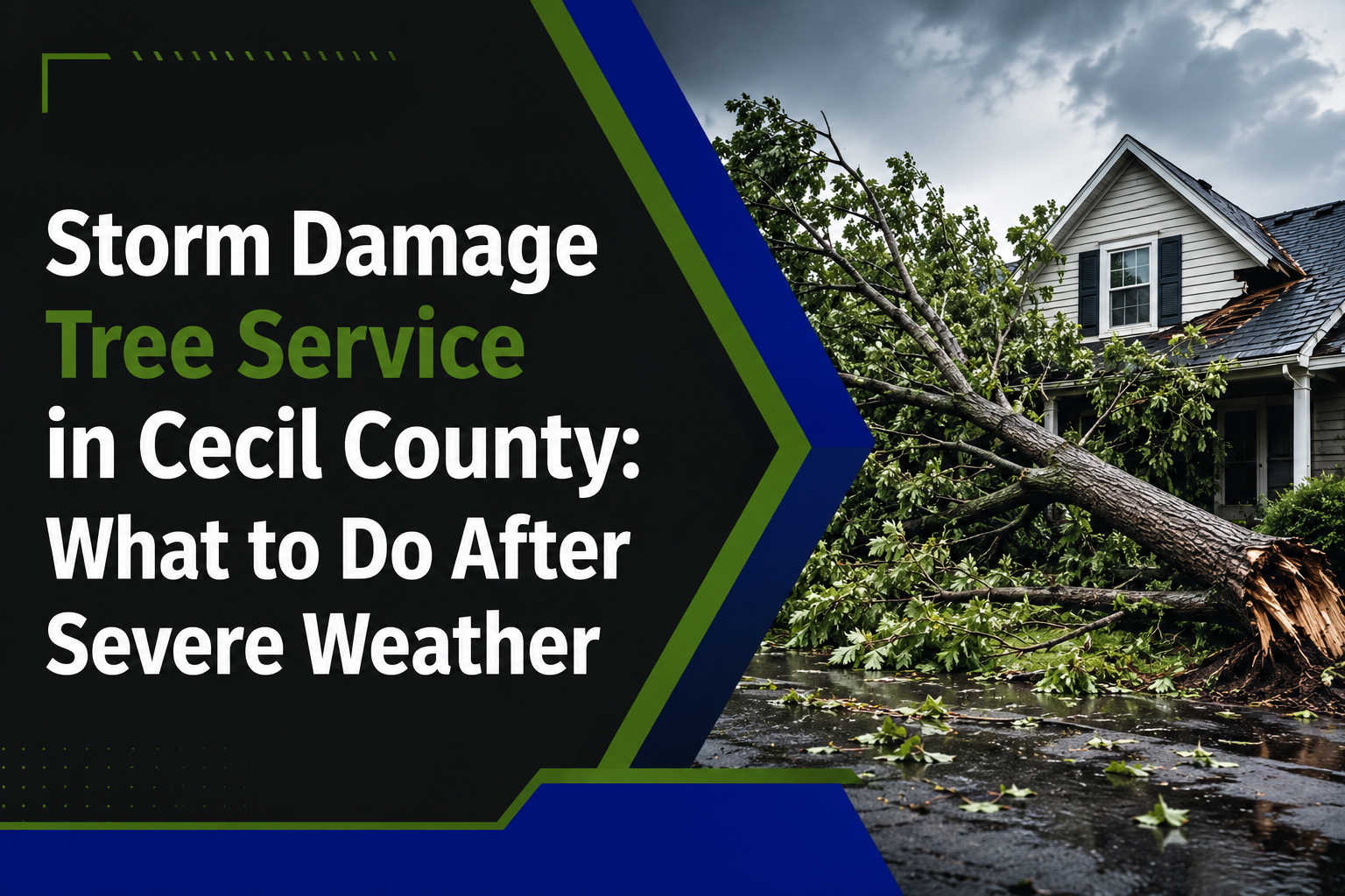 Storm Damage Tree Service in Cecil County: What to Do After Severe Weather