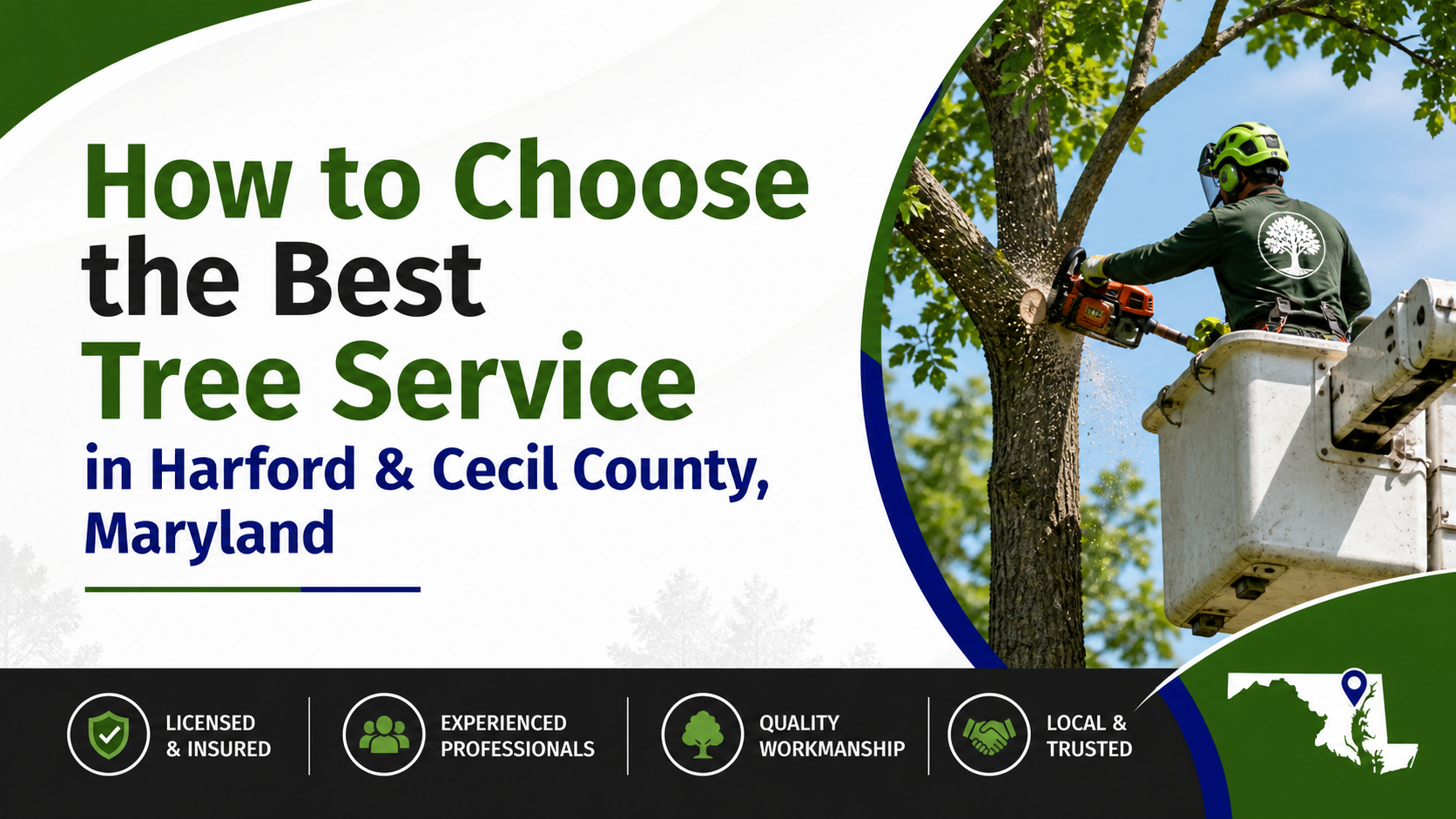 How to Choose the Best Tree Service in Harford & Cecil County, Maryland